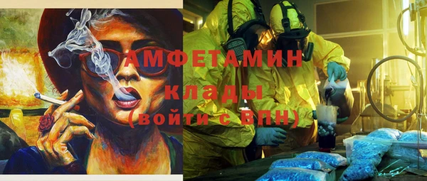 прущая мука Вяземский