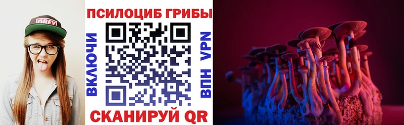 купить наркотики цена  гидра ссылки  Псилоцибиновые грибы прущие грибы  Западная Двина 