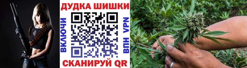 наркотики  Западная Двина  Бошки марихуана тримм 